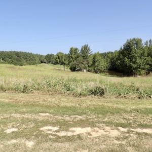 Photo #22 of 750 Bright Road, White Plains, VA 60.5 acres