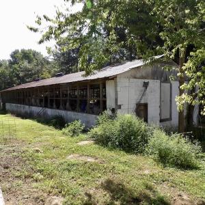 Photo #29 of 750 Bright Road, White Plains, VA 60.5 acres