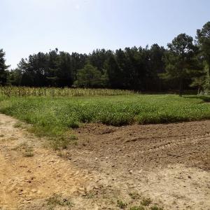 Photo #34 of 750 Bright Road, White Plains, VA 60.5 acres