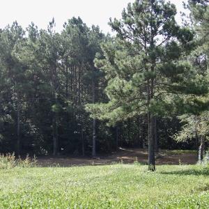 Photo #35 of 750 Bright Road, White Plains, VA 60.5 acres