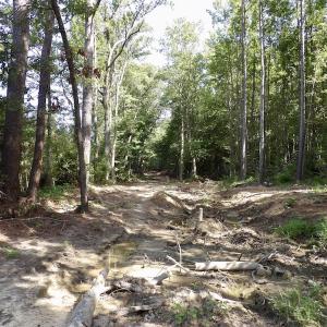 Photo #36 of 750 Bright Road, White Plains, VA 60.5 acres