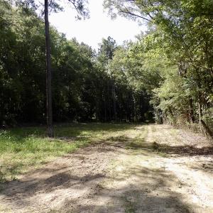 Photo #37 of 750 Bright Road, White Plains, VA 60.5 acres