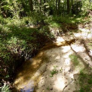 Photo #38 of 750 Bright Road, White Plains, VA 60.5 acres