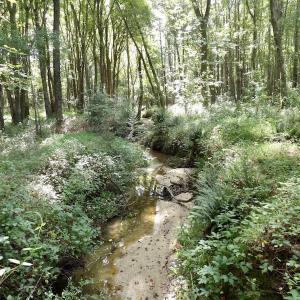 Photo #39 of 750 Bright Road, White Plains, VA 60.5 acres
