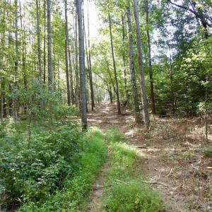 Photo #40 of 750 Bright Road, White Plains, VA 60.5 acres