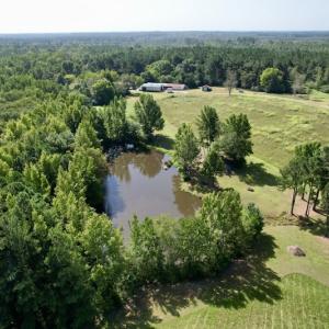 Photo #43 of 750 Bright Road, White Plains, VA 60.5 acres