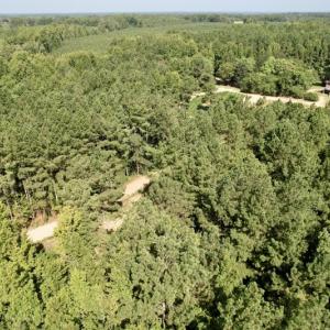 Photo #46 of 750 Bright Road, White Plains, VA 60.5 acres