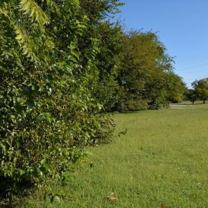 Photo #4 of 2502 Turnpike Road, Portsmouth, VA 0.0 acres