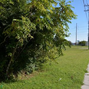 Photo #5 of 2502 Turnpike Road, Portsmouth, VA 0.0 acres