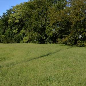 Photo #6 of 2502 Turnpike Road, Portsmouth, VA 0.0 acres