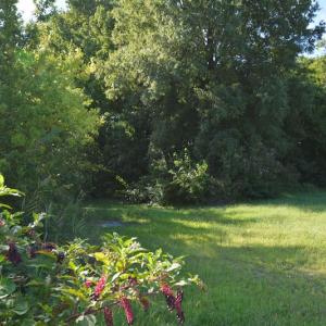 Photo #6 of SOLD property in 2327 Turnpike Road, Portsmouth, VA 0.7 acres