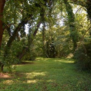 Photo #10 of SOLD property in 12 Syer Road, Portsmouth, VA 0.9 acres