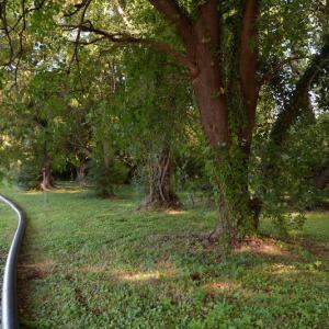 Photo #11 of SOLD property in 12 Syer Road, Portsmouth, VA 0.9 acres