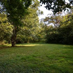 Photo #12 of SOLD property in 12 Syer Road, Portsmouth, VA 0.9 acres