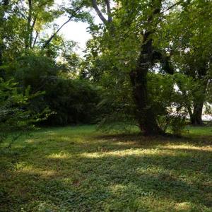 Photo #13 of SOLD property in 12 Syer Road, Portsmouth, VA 0.9 acres