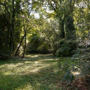 Photo #14 of SOLD property in 12 Syer Road, Portsmouth, VA 0.9 acres