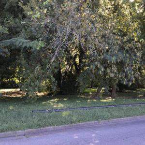 Photo #6 of SOLD property in 12 Syer Road, Portsmouth, VA 0.9 acres