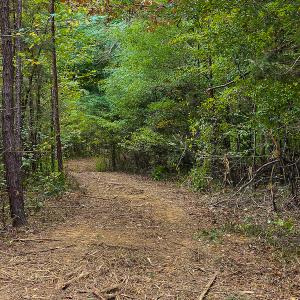 Photo #11 of SOLD property in Off Country Club Road, Roxboro, NC 21.9 acres