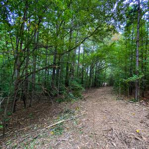 Photo #12 of SOLD property in Off Country Club Road, Roxboro, NC 21.9 acres