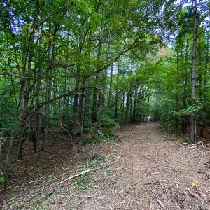Photo #12 of SOLD property in Off Country Club Road, Roxboro, NC 21.9 acres