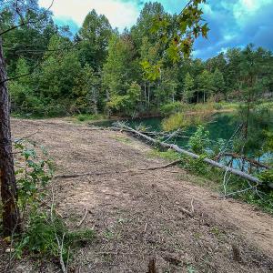 Photo #13 of SOLD property in Off Country Club Road, Roxboro, NC 21.9 acres