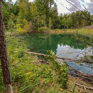 Photo #14 of SOLD property in Off Country Club Road, Roxboro, NC 21.9 acres