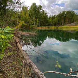 Photo #16 of SOLD property in Off Country Club Road, Roxboro, NC 21.9 acres