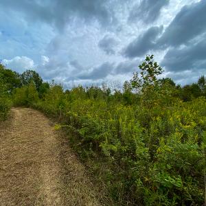 Photo #17 of SOLD property in Off Country Club Road, Roxboro, NC 21.9 acres