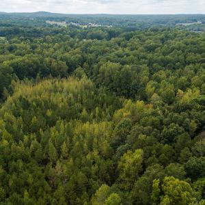 Photo #20 of SOLD property in Off Country Club Road, Roxboro, NC 21.9 acres