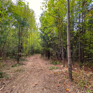 Photo #3 of SOLD property in Off Country Club Road, Roxboro, NC 21.9 acres
