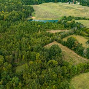 Photo #22 of SOLD property in Off Country Club Road, Roxboro, NC 21.9 acres