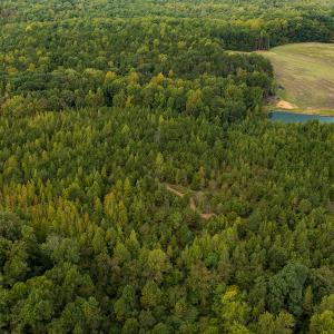 Photo #23 of SOLD property in Off Country Club Road, Roxboro, NC 21.9 acres