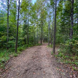 Photo #4 of SOLD property in Off Country Club Road, Roxboro, NC 21.9 acres