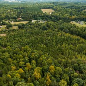 Photo #28 of SOLD property in Off Country Club Road, Roxboro, NC 21.9 acres