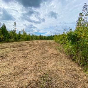 Photo #53 of SOLD property in Off Country Club Road, Roxboro, NC 21.9 acres