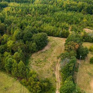Photo #35 of SOLD property in Off Country Club Road, Roxboro, NC 21.9 acres
