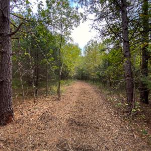 Photo #5 of SOLD property in Off Country Club Road, Roxboro, NC 21.9 acres