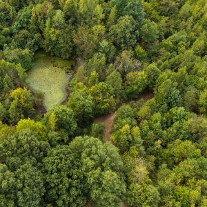 Photo #42 of SOLD property in Off Country Club Road, Roxboro, NC 21.9 acres