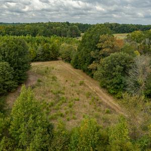 Photo #46 of SOLD property in Off Country Club Road, Roxboro, NC 21.9 acres