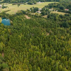 Photo #47 of SOLD property in Off Country Club Road, Roxboro, NC 21.9 acres