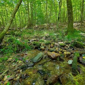 Photo #12 of SOLD property in 545 Trott Circle, Martinsville, VA 89.4 acres