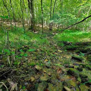 Photo #13 of SOLD property in 545 Trott Circle, Martinsville, VA 89.4 acres