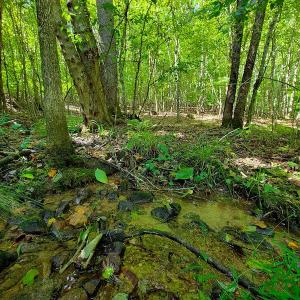 Photo #14 of SOLD property in 545 Trott Circle, Martinsville, VA 89.4 acres