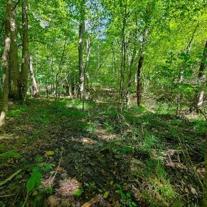 Photo #16 of SOLD property in 545 Trott Circle, Martinsville, VA 89.4 acres