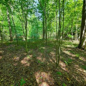 Photo #17 of SOLD property in 545 Trott Circle, Martinsville, VA 89.4 acres