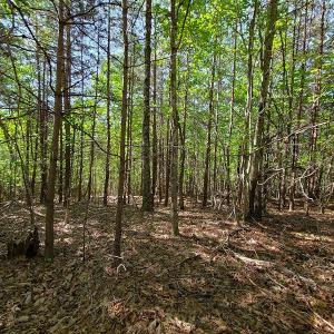 Photo #3 of SOLD property in 545 Trott Circle, Martinsville, VA 89.4 acres