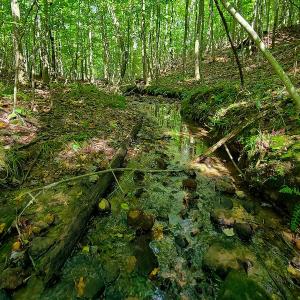 Photo #21 of SOLD property in 545 Trott Circle, Martinsville, VA 89.4 acres