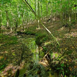 Photo #22 of SOLD property in 545 Trott Circle, Martinsville, VA 89.4 acres