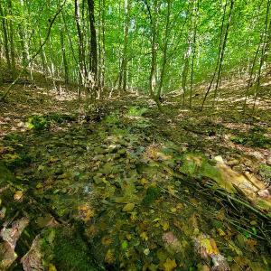 Photo #23 of SOLD property in 545 Trott Circle, Martinsville, VA 89.4 acres