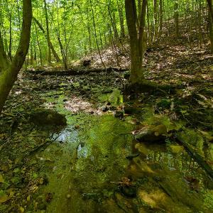 Photo #24 of SOLD property in 545 Trott Circle, Martinsville, VA 89.4 acres